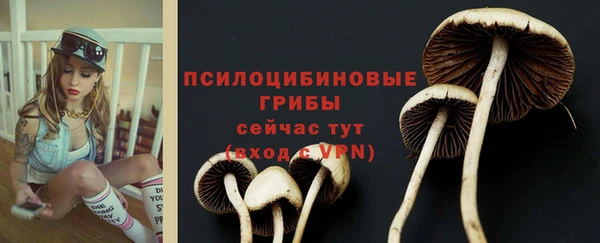 2c-b Балабаново