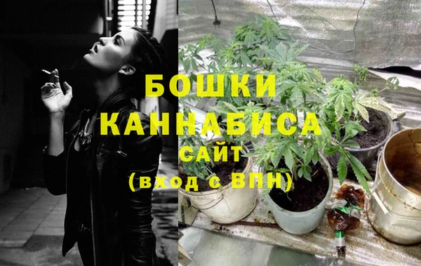 сатива Кинешма